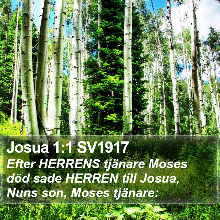 Josua 1:1 SV1917 Bible Study