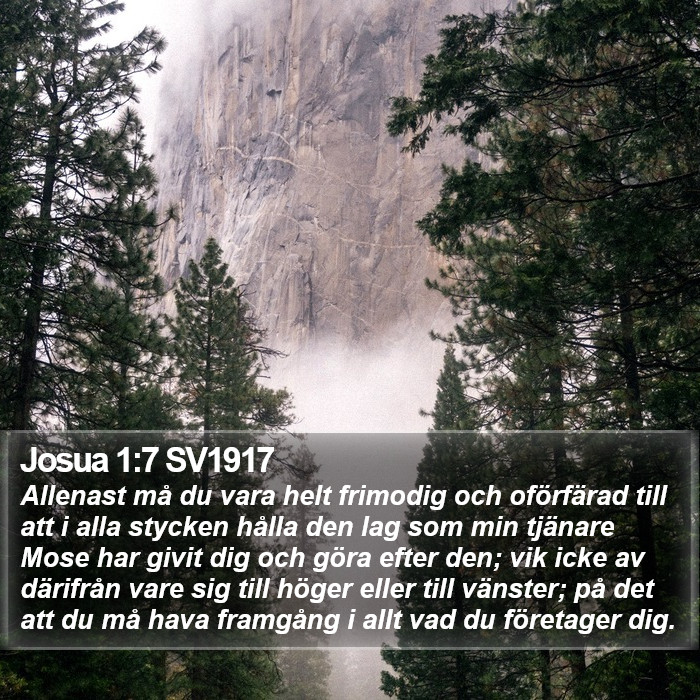 Josua 1:7 SV1917 Bible Study