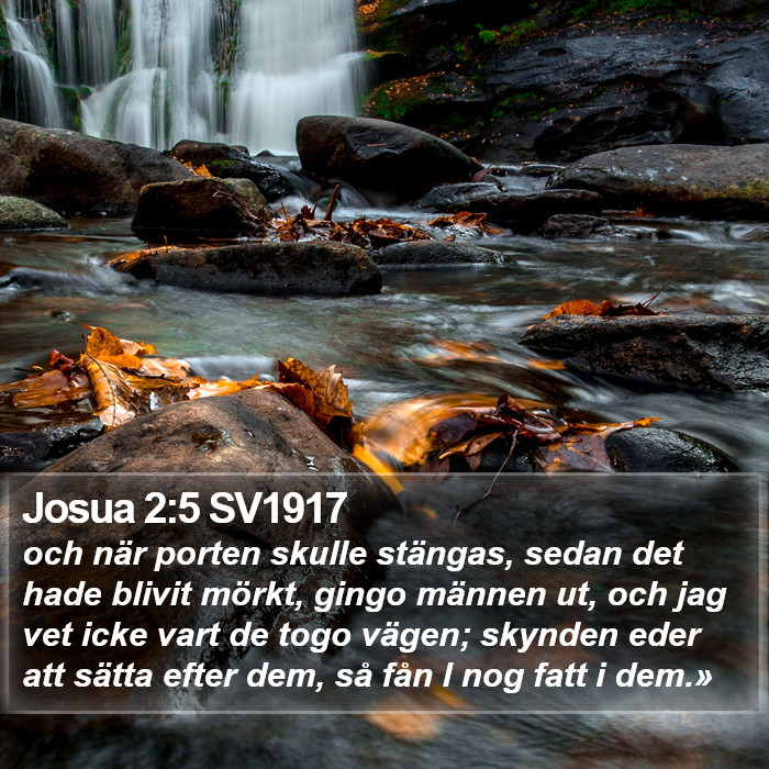 Josua 2:5 SV1917 Bible Study