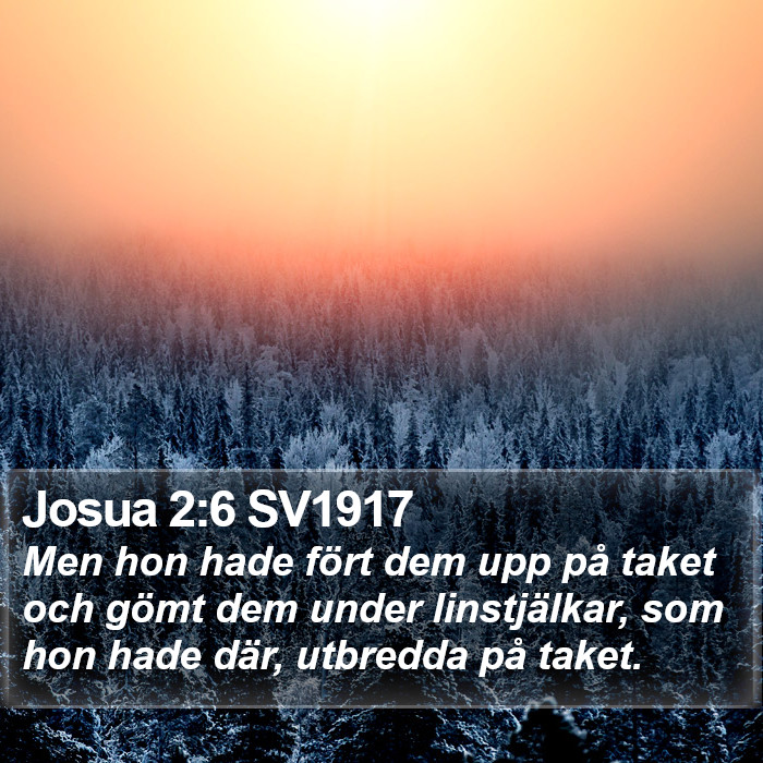 Josua 2:6 SV1917 Bible Study