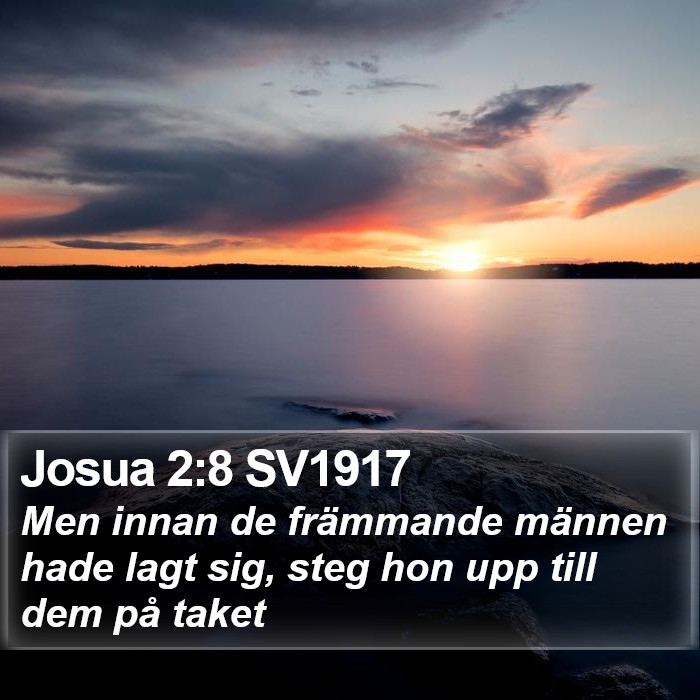 Josua 2:8 SV1917 Bible Study