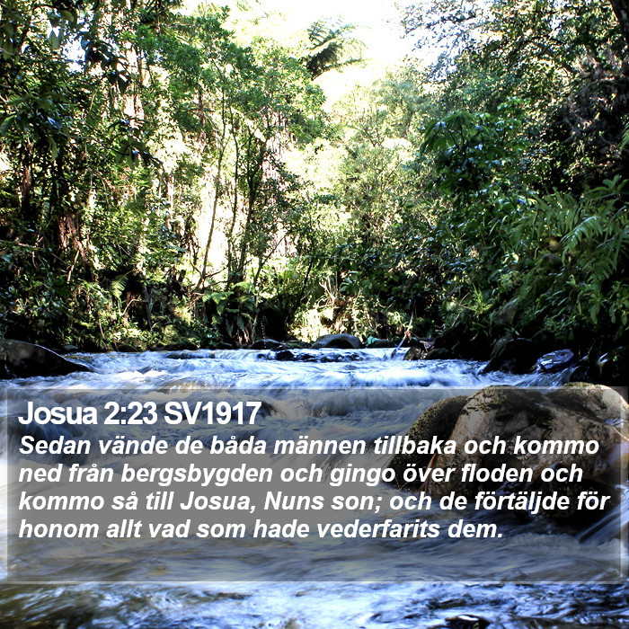 Josua 2:23 SV1917 Bible Study