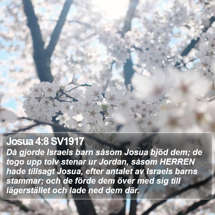 Josua 4:8 SV1917 Bible Study