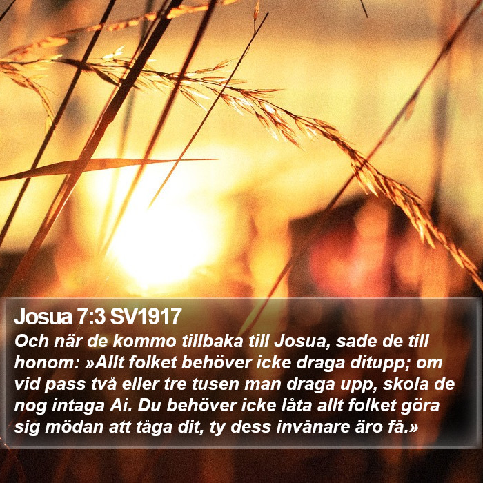 Josua 7:3 SV1917 Bible Study