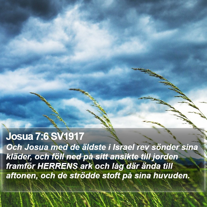 Josua 7:6 SV1917 Bible Study