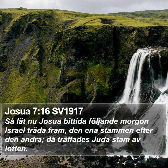 Josua 7:16 SV1917 Bible Study