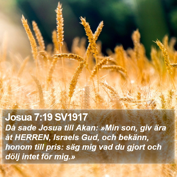 Josua 7:19 SV1917 Bible Study