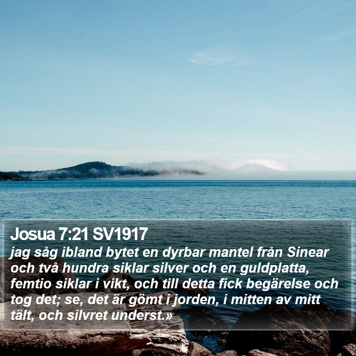 Josua 7:21 SV1917 Bible Study