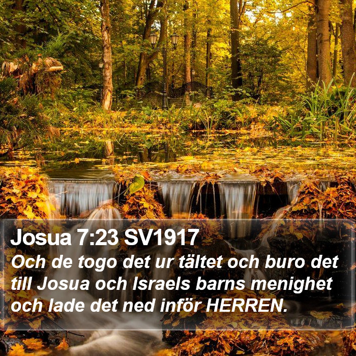 Josua 7:23 SV1917 Bible Study