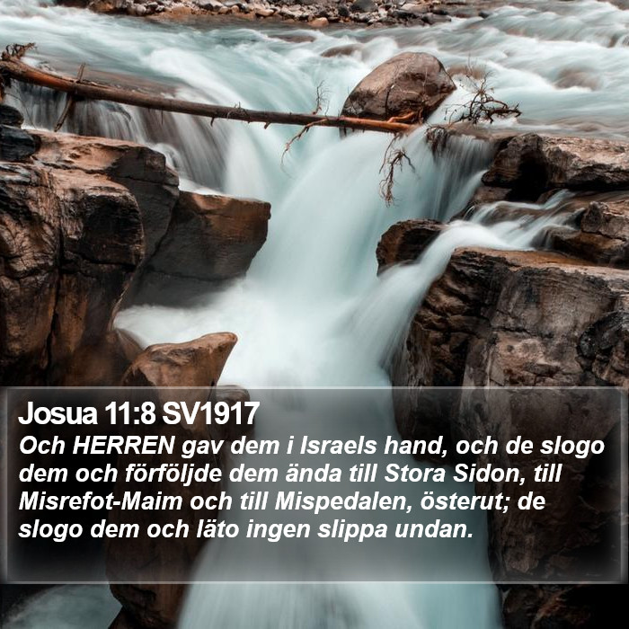 Josua 11:8 SV1917 Bible Study