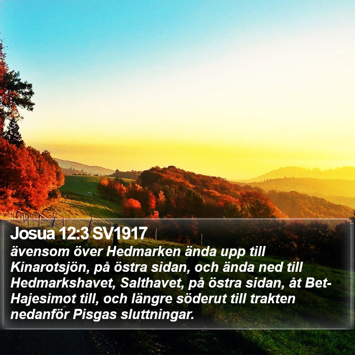 Josua 12:3 SV1917 Bible Study