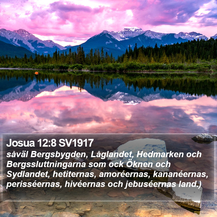 Josua 12:8 SV1917 Bible Study