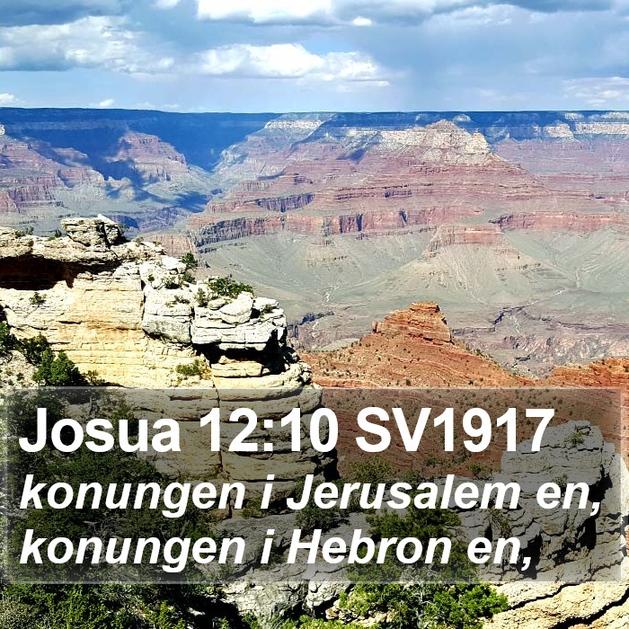 Josua 12:10 SV1917 Bible Study