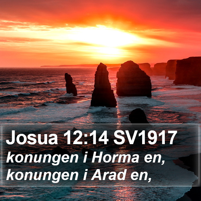 Josua 12:14 SV1917 Bible Study