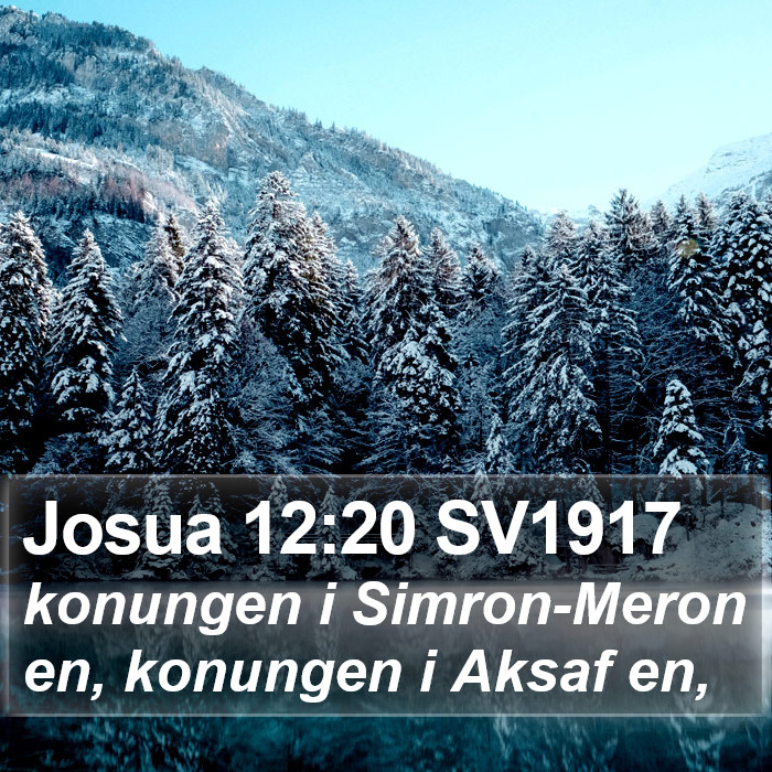 Josua 12:20 SV1917 Bible Study