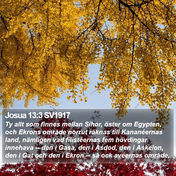 Josua 13:3 SV1917 Bible Study