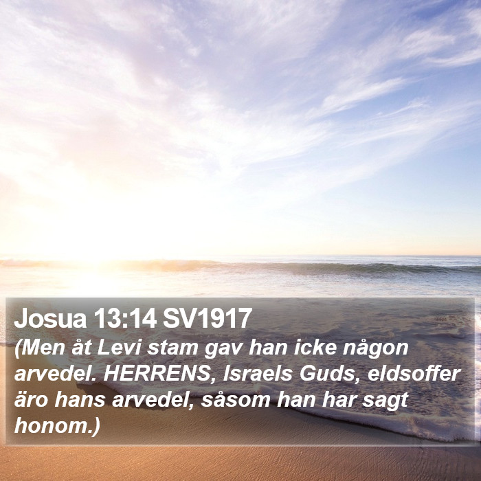 Josua 13:14 SV1917 Bible Study