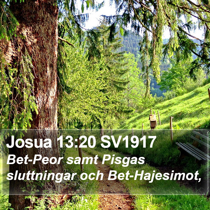 Josua 13:20 SV1917 Bible Study