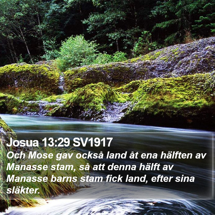 Josua 13:29 SV1917 Bible Study