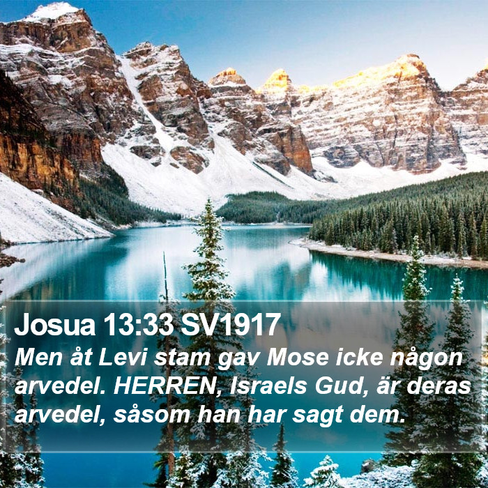 Josua 13:33 SV1917 Bible Study