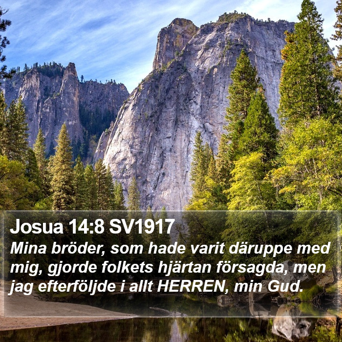 Josua 14:8 SV1917 Bible Study