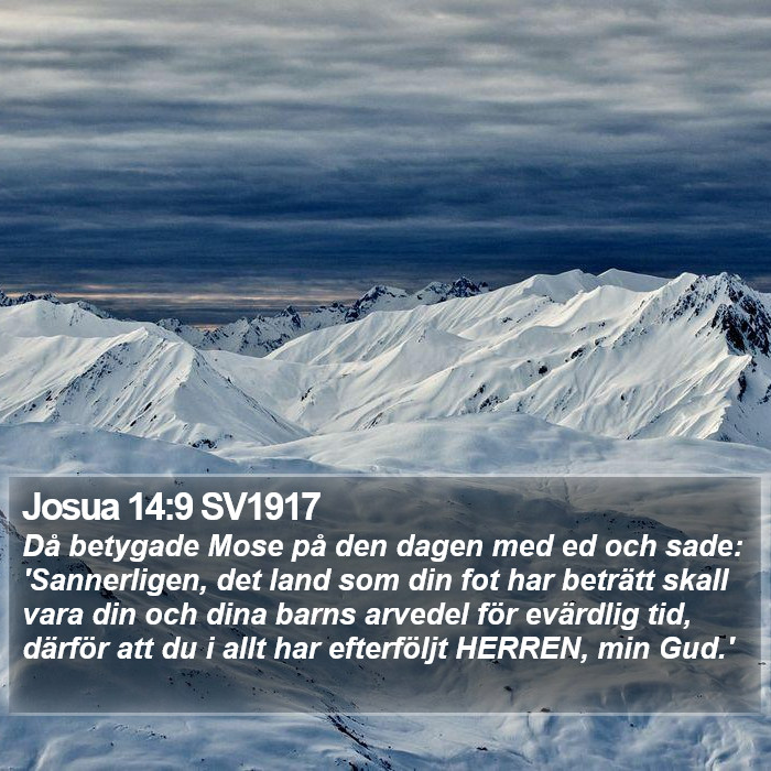 Josua 14:9 SV1917 Bible Study