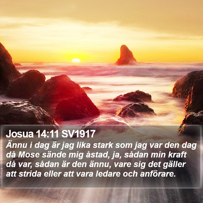 Josua 14:11 SV1917 Bible Study