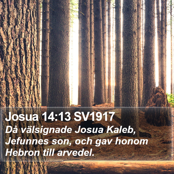 Josua 14:13 SV1917 Bible Study