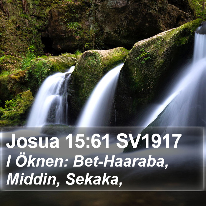 Josua 15:61 SV1917 Bible Study