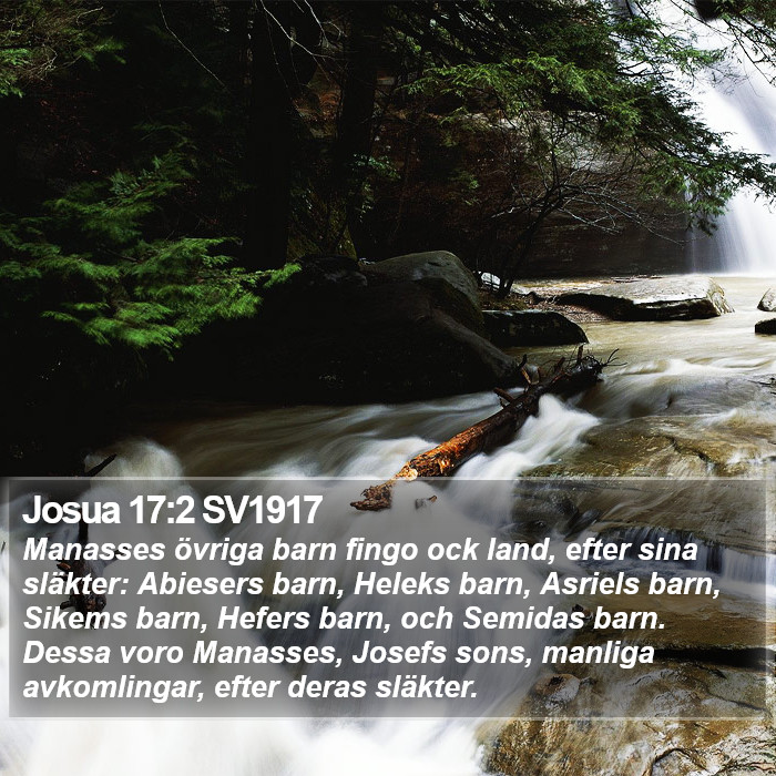 Josua 17:2 SV1917 Bible Study