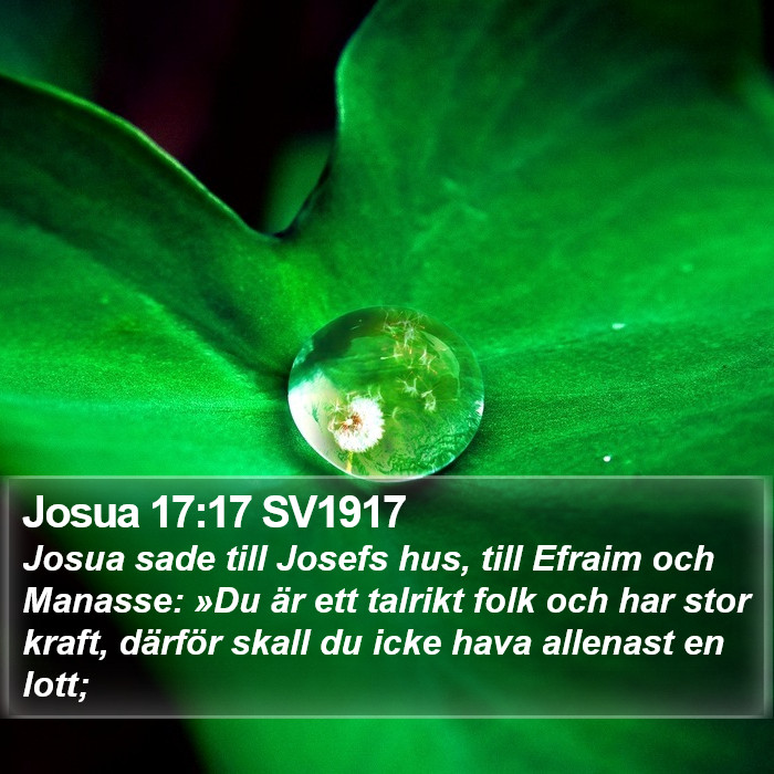 Josua 17:17 SV1917 Bible Study