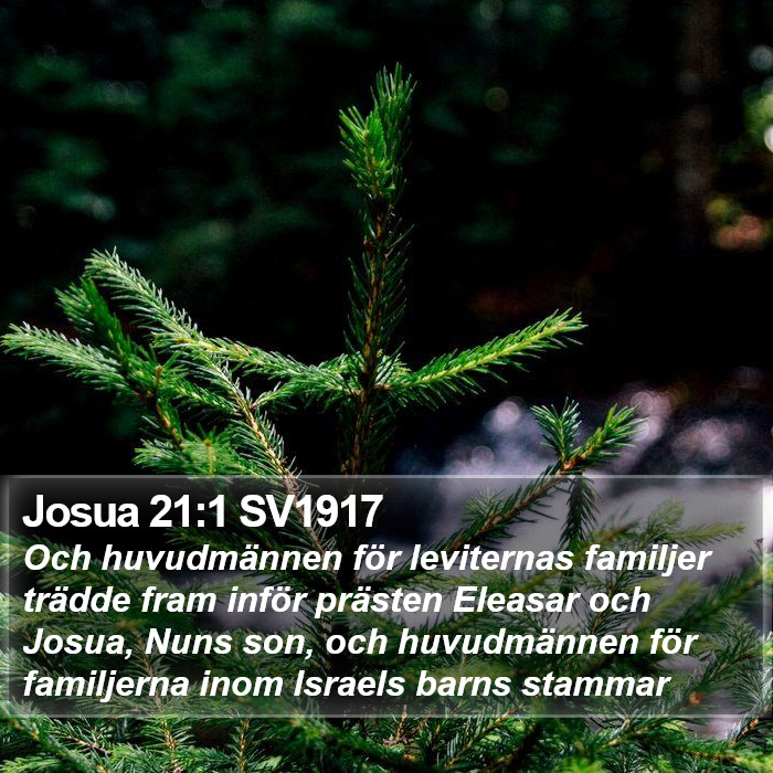 Josua 21:1 SV1917 Bible Study