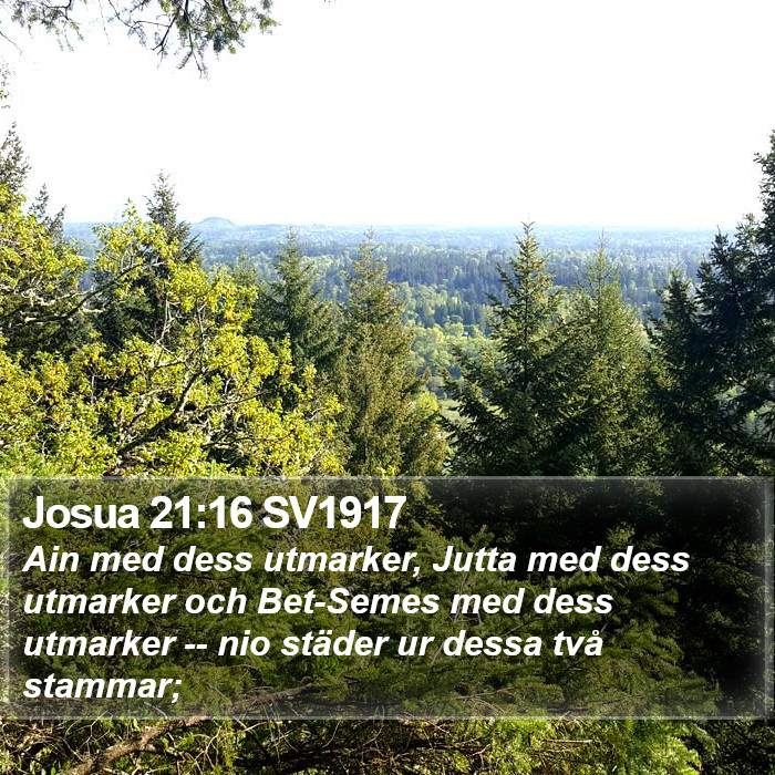 Josua 21:16 SV1917 Bible Study