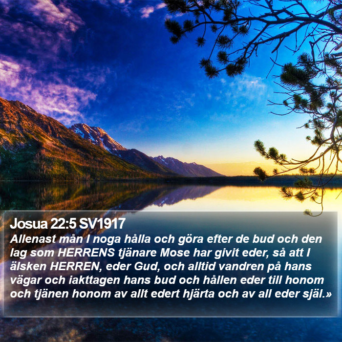 Josua 22:5 SV1917 Bible Study
