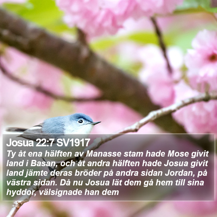 Josua 22:7 SV1917 Bible Study