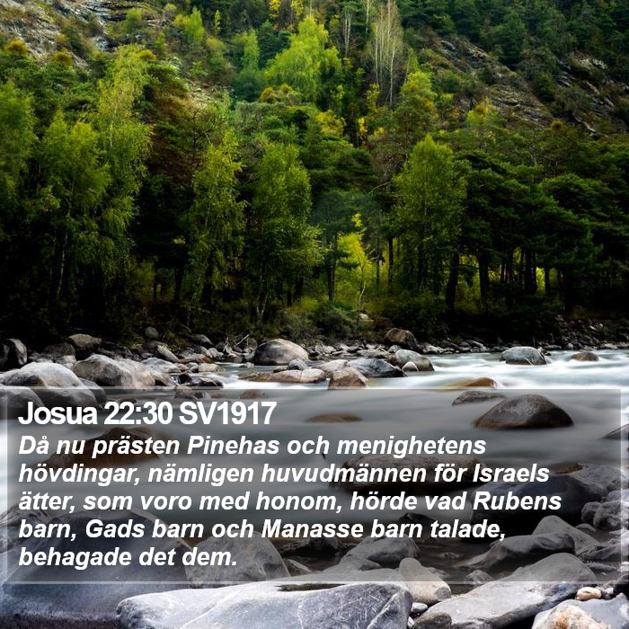 Josua 22:30 SV1917 Bible Study