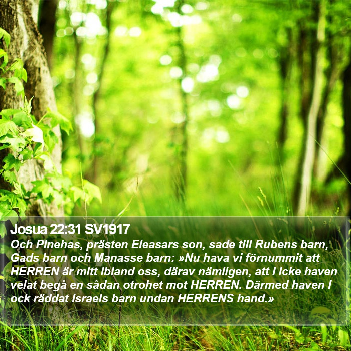 Josua 22:31 SV1917 Bible Study