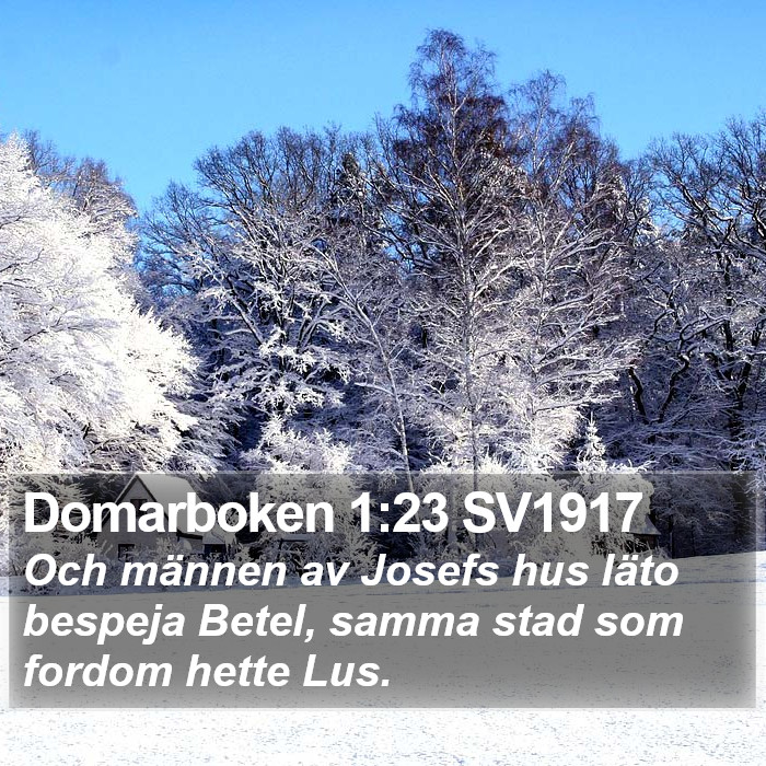 Domarboken 1:23 SV1917 Bible Study