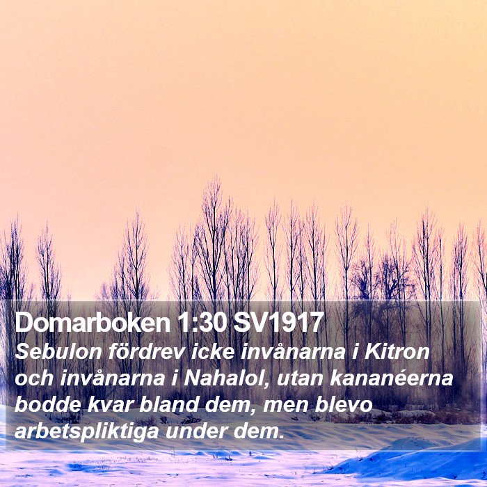 Domarboken 1:30 SV1917 Bible Study