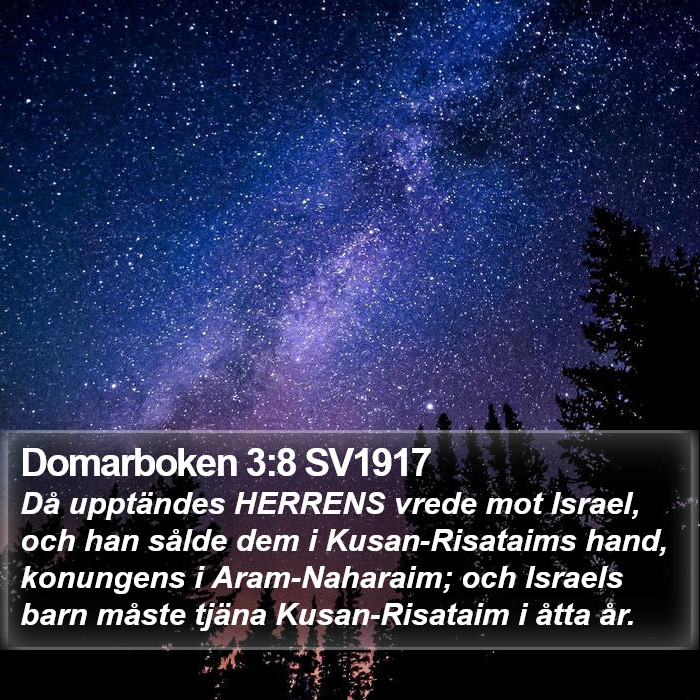 Domarboken 3:8 SV1917 Bible Study