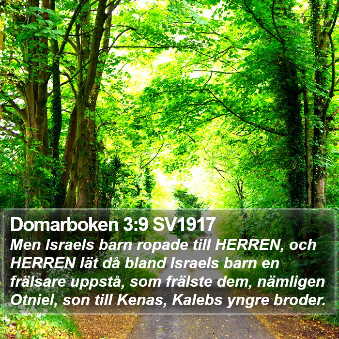 Domarboken 3:9 SV1917 Bible Study
