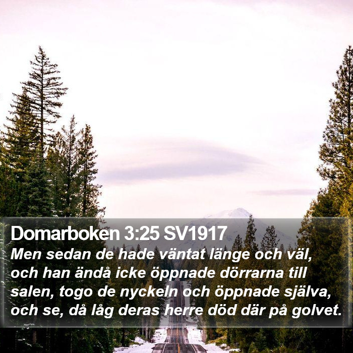 Domarboken 3:25 SV1917 Bible Study