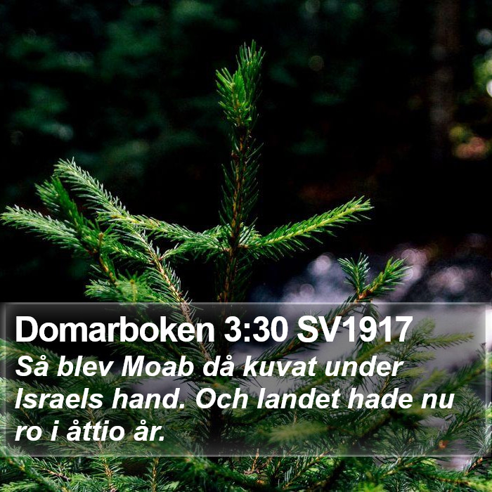 Domarboken 3:30 SV1917 Bible Study