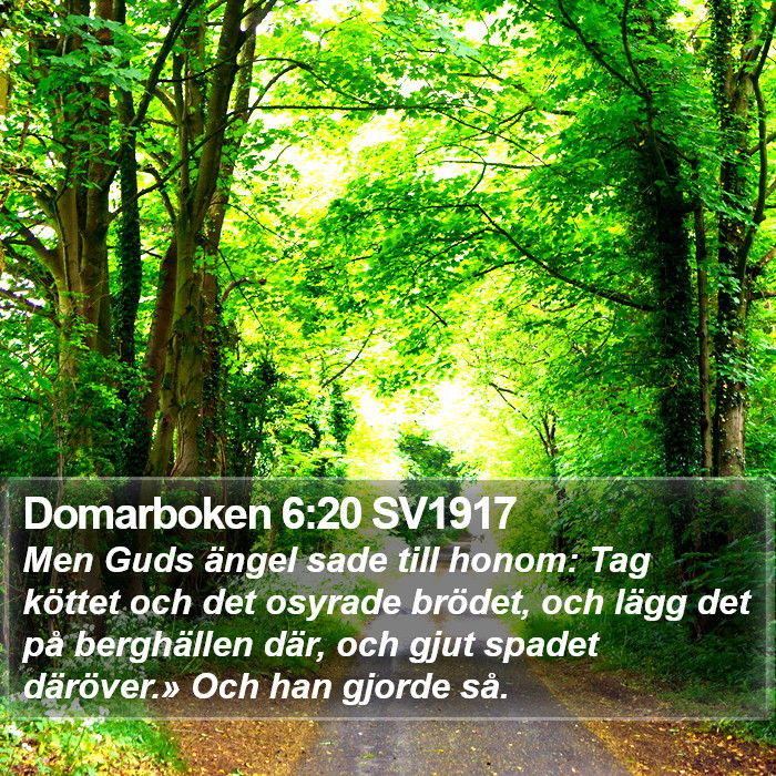 Domarboken 6:20 SV1917 Bible Study