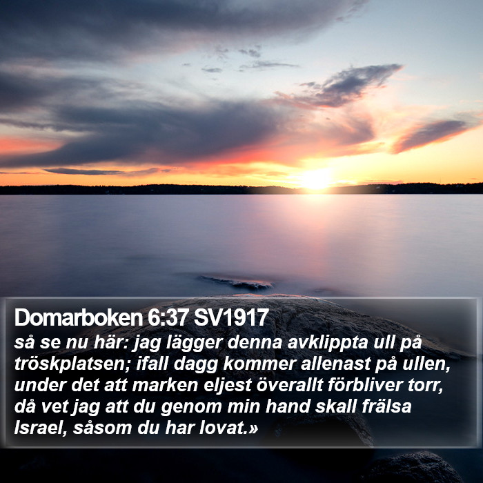 Domarboken 6:37 SV1917 Bible Study