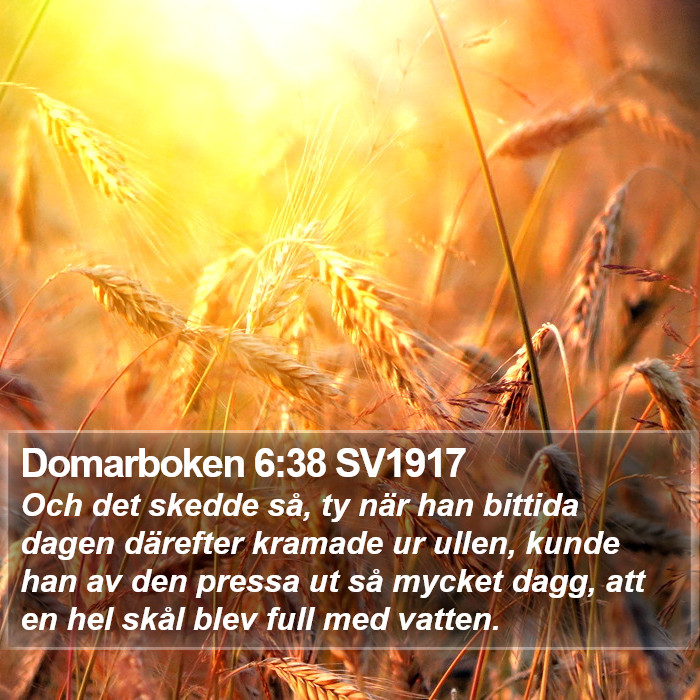 Domarboken 6:38 SV1917 Bible Study