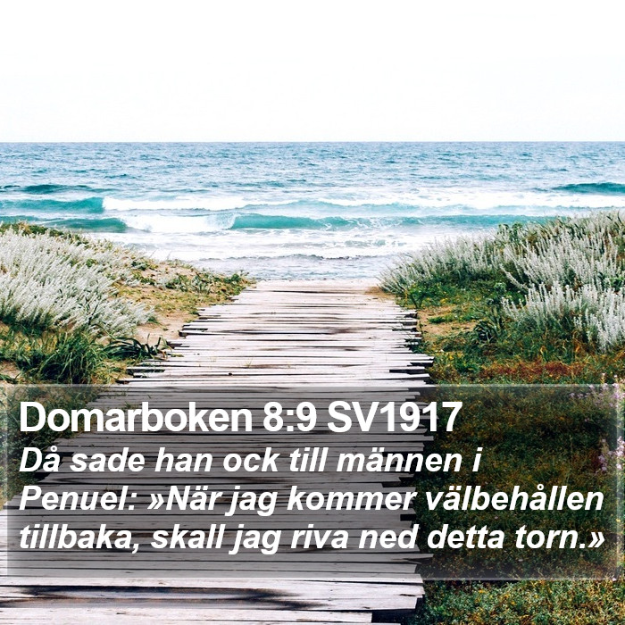 Domarboken 8:9 SV1917 Bible Study