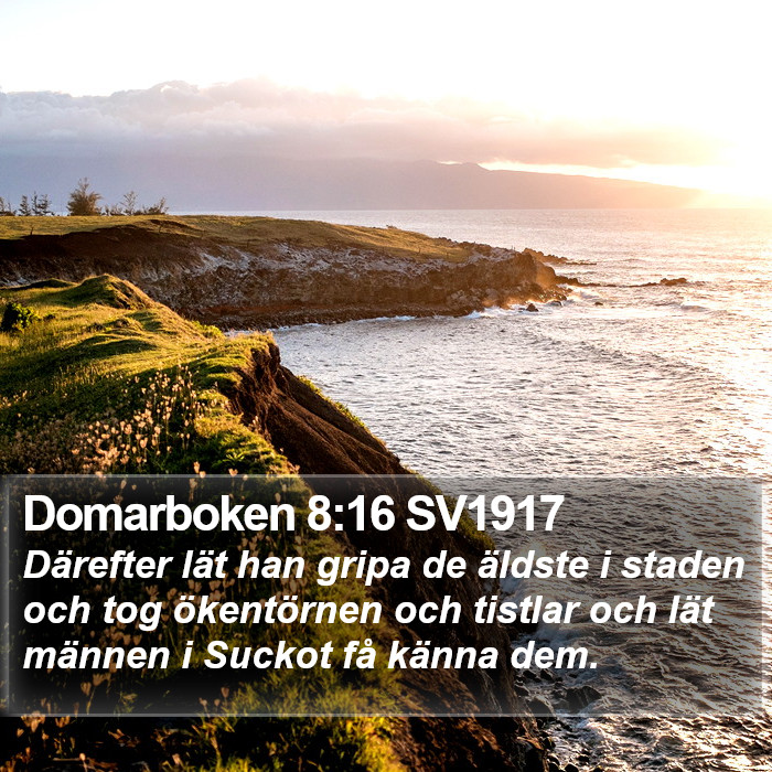 Domarboken 8:16 SV1917 Bible Study