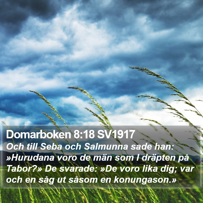 Domarboken 8:18 SV1917 Bible Study