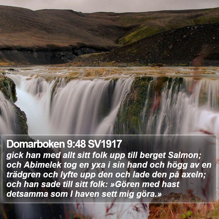 Domarboken 9:48 SV1917 Bible Study